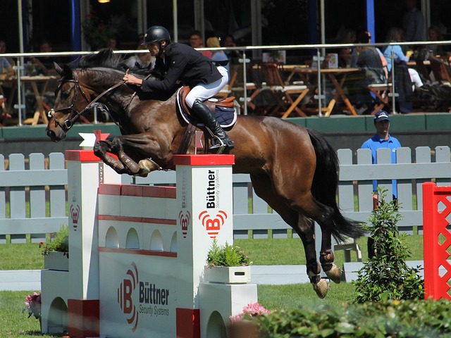 也不容小觑 也不容小觑